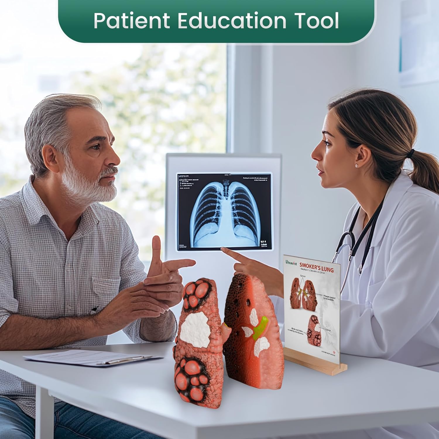 Smoking Cough Up Lung Model for Smoking Education