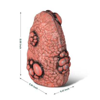 Smoker's Cough Up Lung Model Size