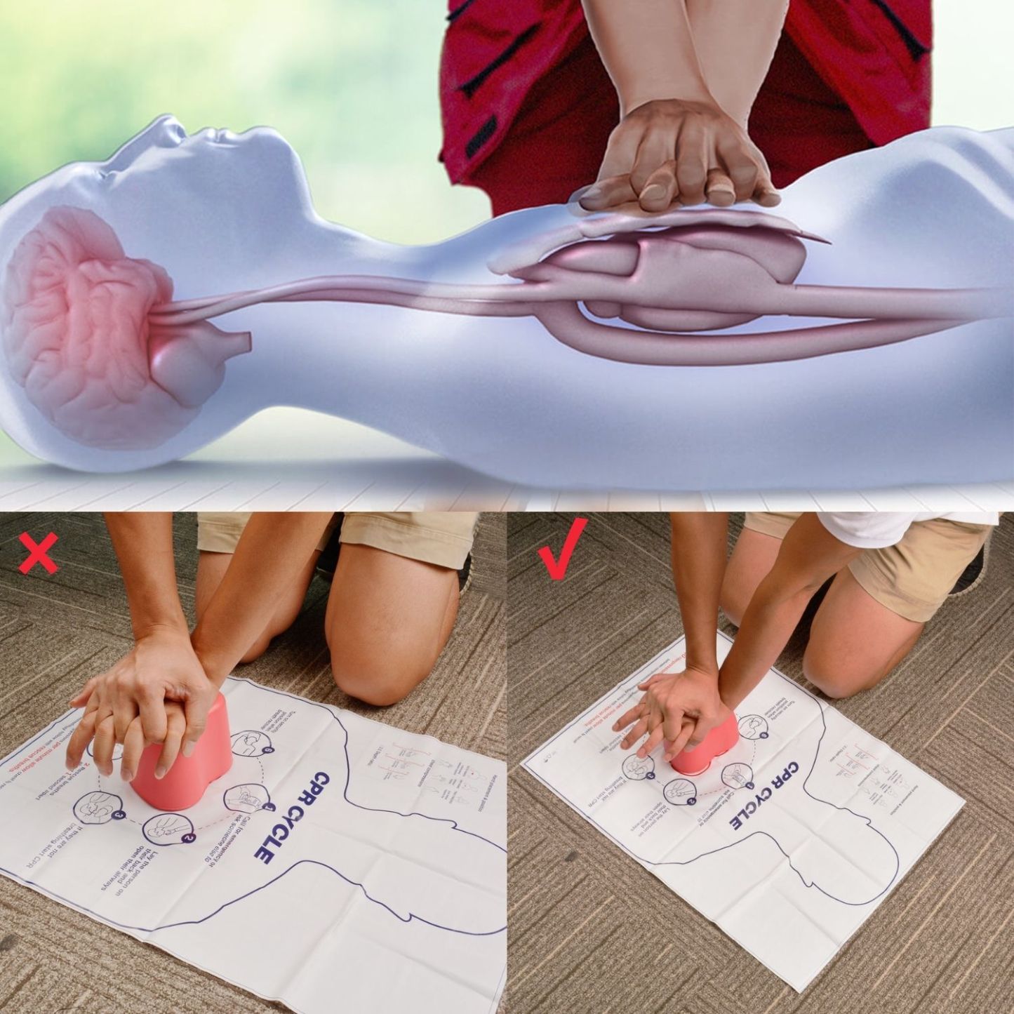 Hands-only CPR Trainer for First Aid Training
