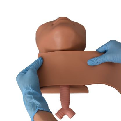Ultrassist Cricothyrotomy Trainer for Emergency Training 