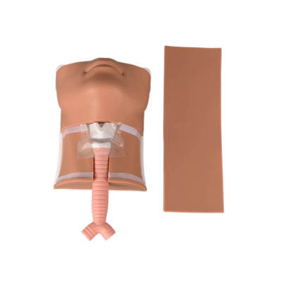 Ultrassist Cricothyrotomy Trainer Medium Skin