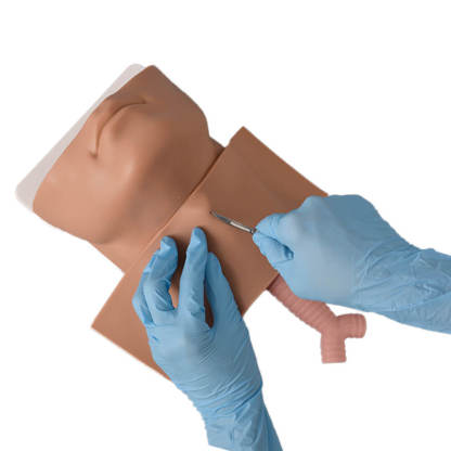Ultrassist Cricothyrotomy Trainer with Replaceable Components