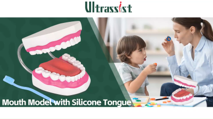 Mouth Model with Soft Silicone Tongue for Speech and Language Therapy
