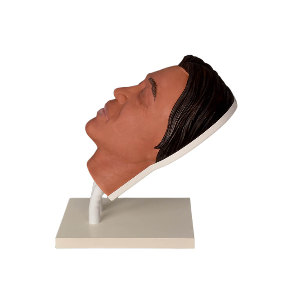 Adjustable Female Facial Injection Training Head with Deep Skin Tone