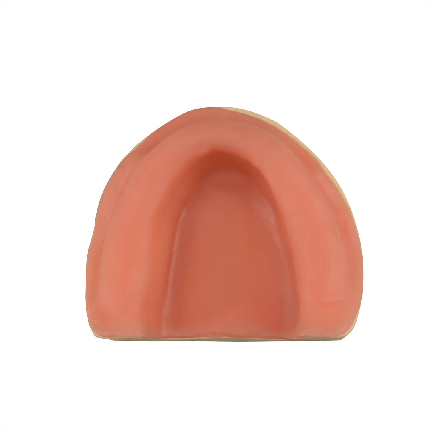 Dental Implant Training Maxillary Edentulous Model