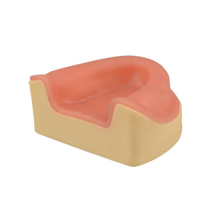 Dental Implant Training Maxillary Edentulous Model