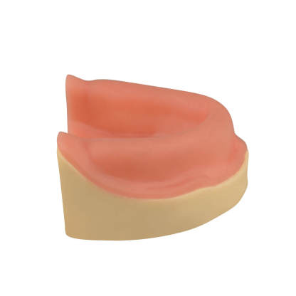 Dental Implant Training Maxillary Edentulous Model
