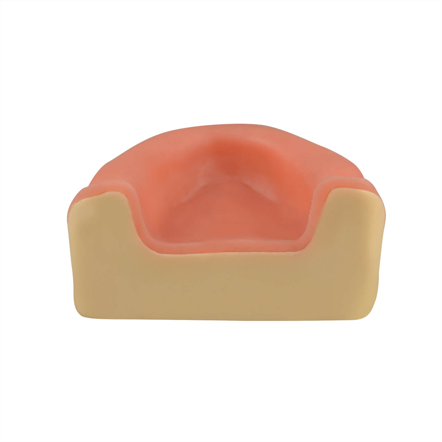 Dental Implant Training Maxillary Edentulous Model