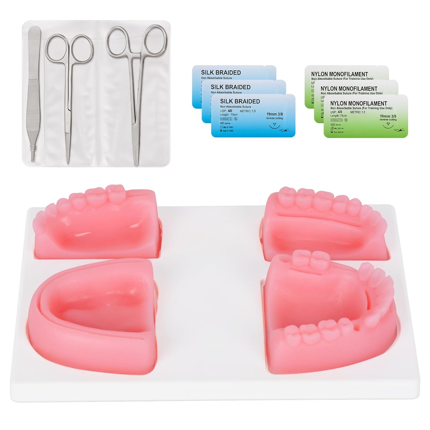 Ultrassist Dental Suture Practice Kit for Student Gum Cutting & Gingival Suturing