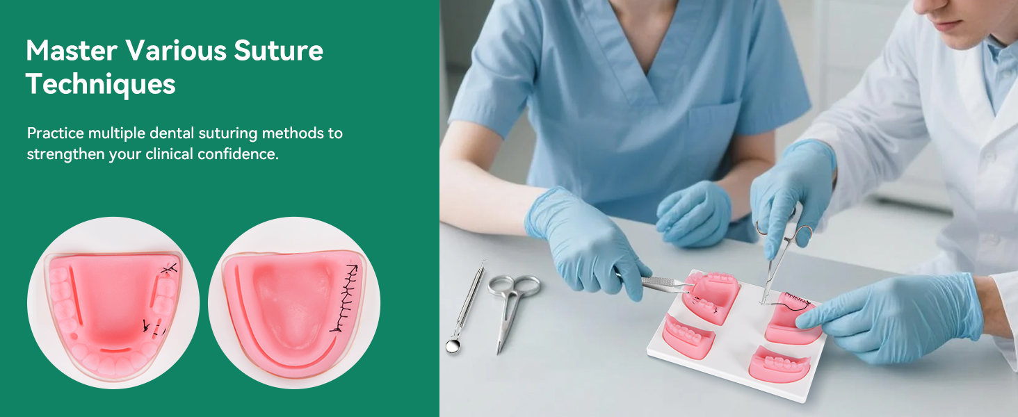 Dental Suture Practice Kit for Student Gum Cutting & Gingival Suturing