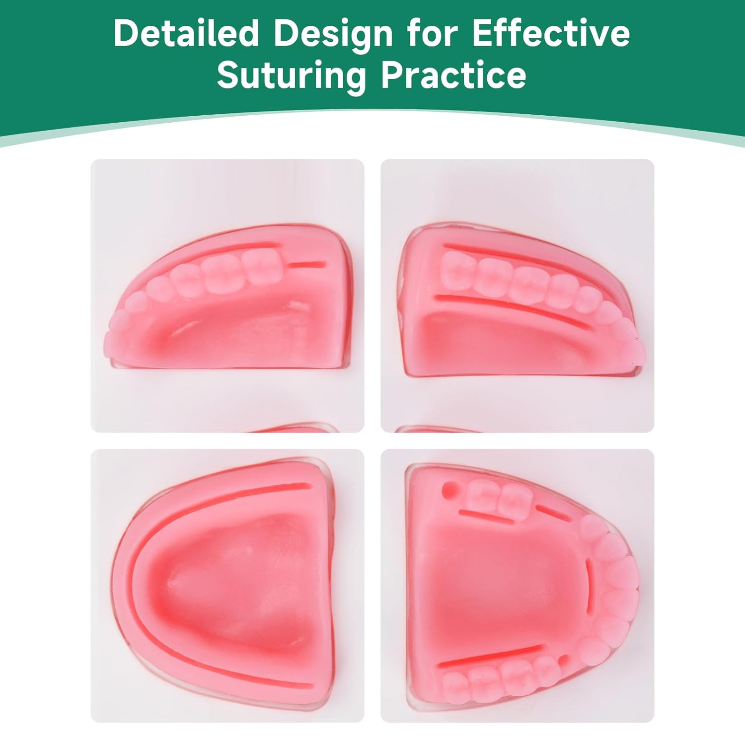 Ultrassist Dental Suture Practice Kit for Student Gum Cutting & Gingival Suturing