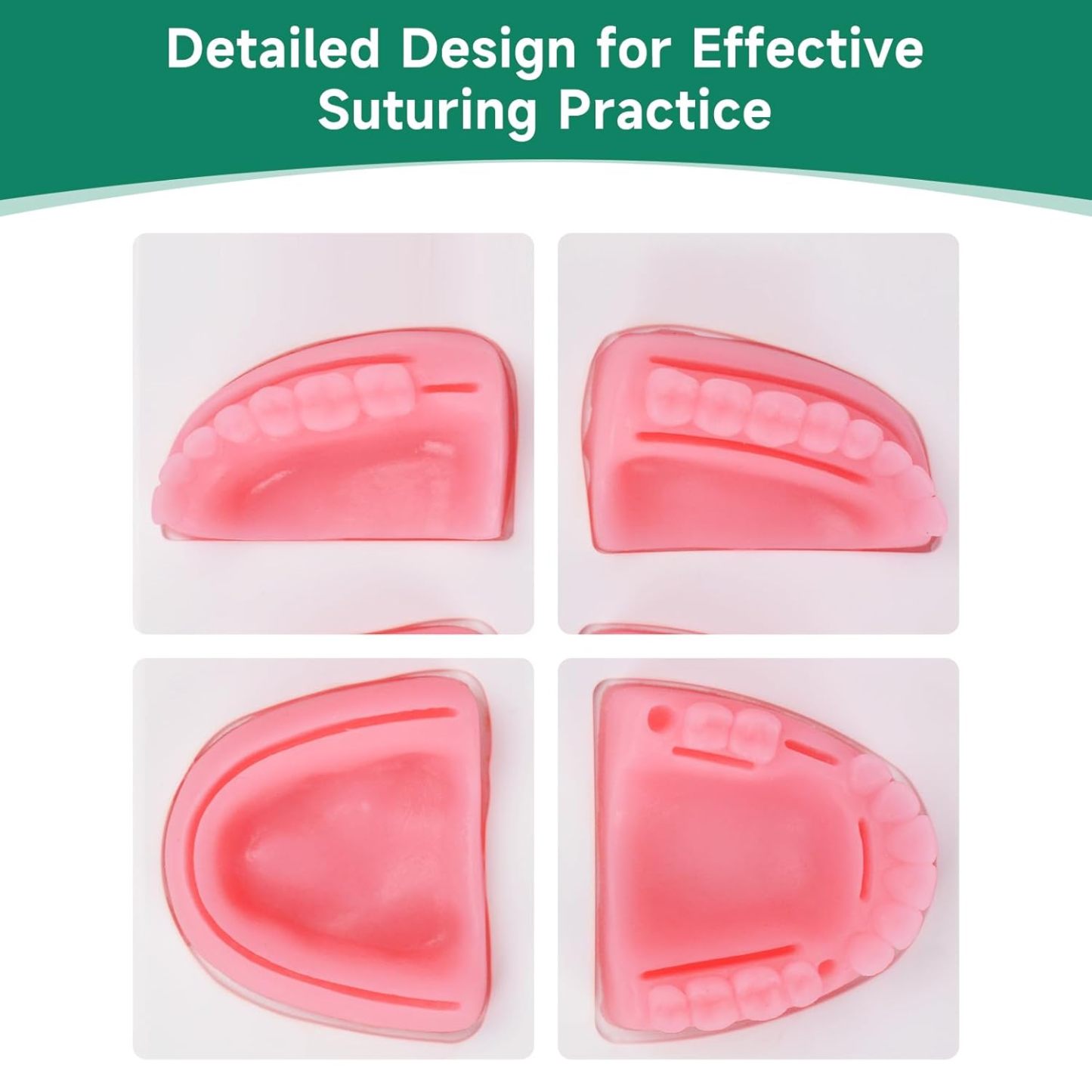 Ultrassist Dental Suture Practice Kit for Student Gum Cutting & Gingival Suturing