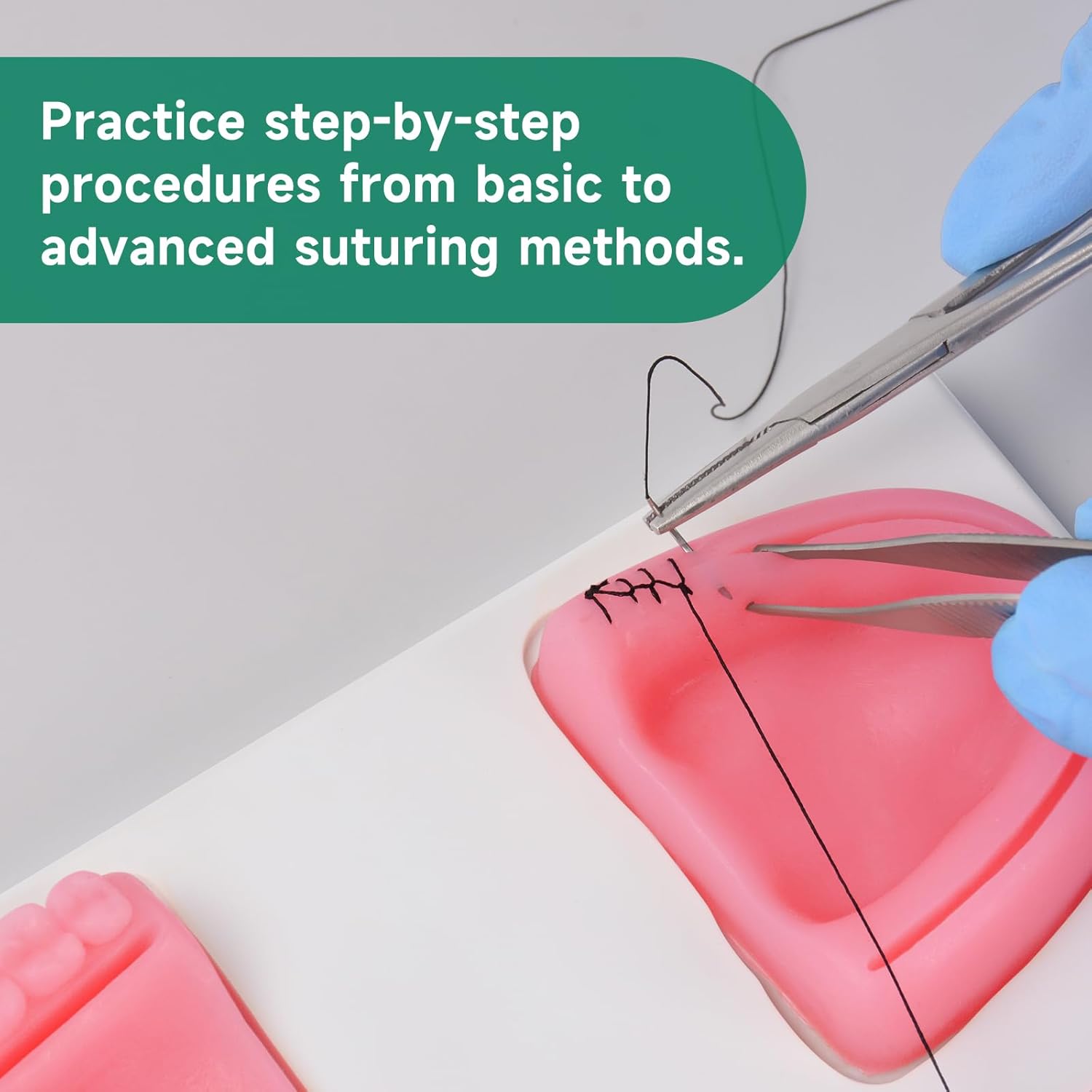 Ultrassist Dental Suture Practice Kit for Student Gum Cutting & Gingival Suturing