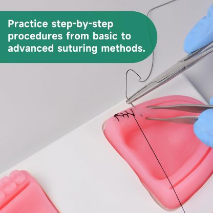 Ultrassist Dental Suture Practice Kit for Student Gum Cutting & Gingival Suturing