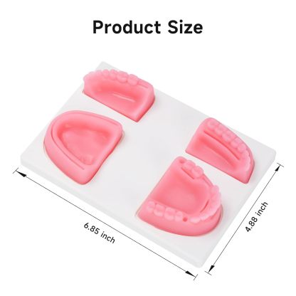 Ultrassist Dental Suture Practice Kit for Student Gum Cutting & Gingival Suturing