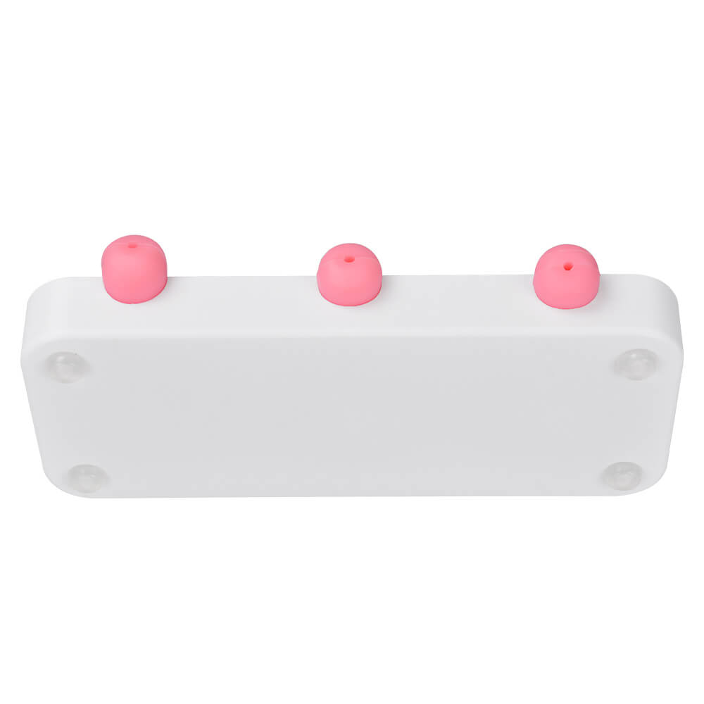 Dilatation and Curettage (D&C) Uterus Model with Base