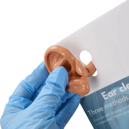 Ear Canal Training Model for Ear Irrigation & Cerumen Removal