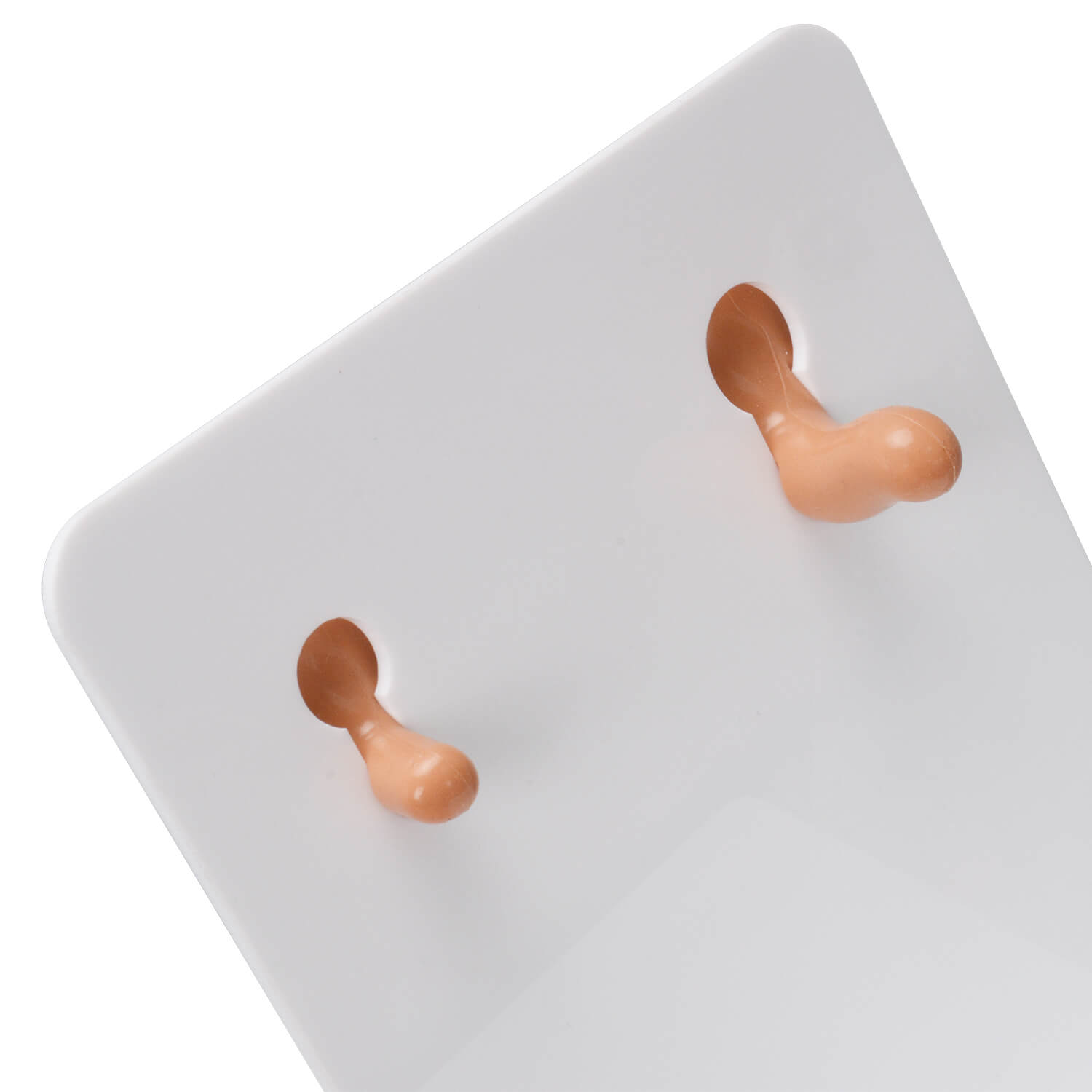 Ear Canal Training Model for Ear Irrigation & Cerumen Removal