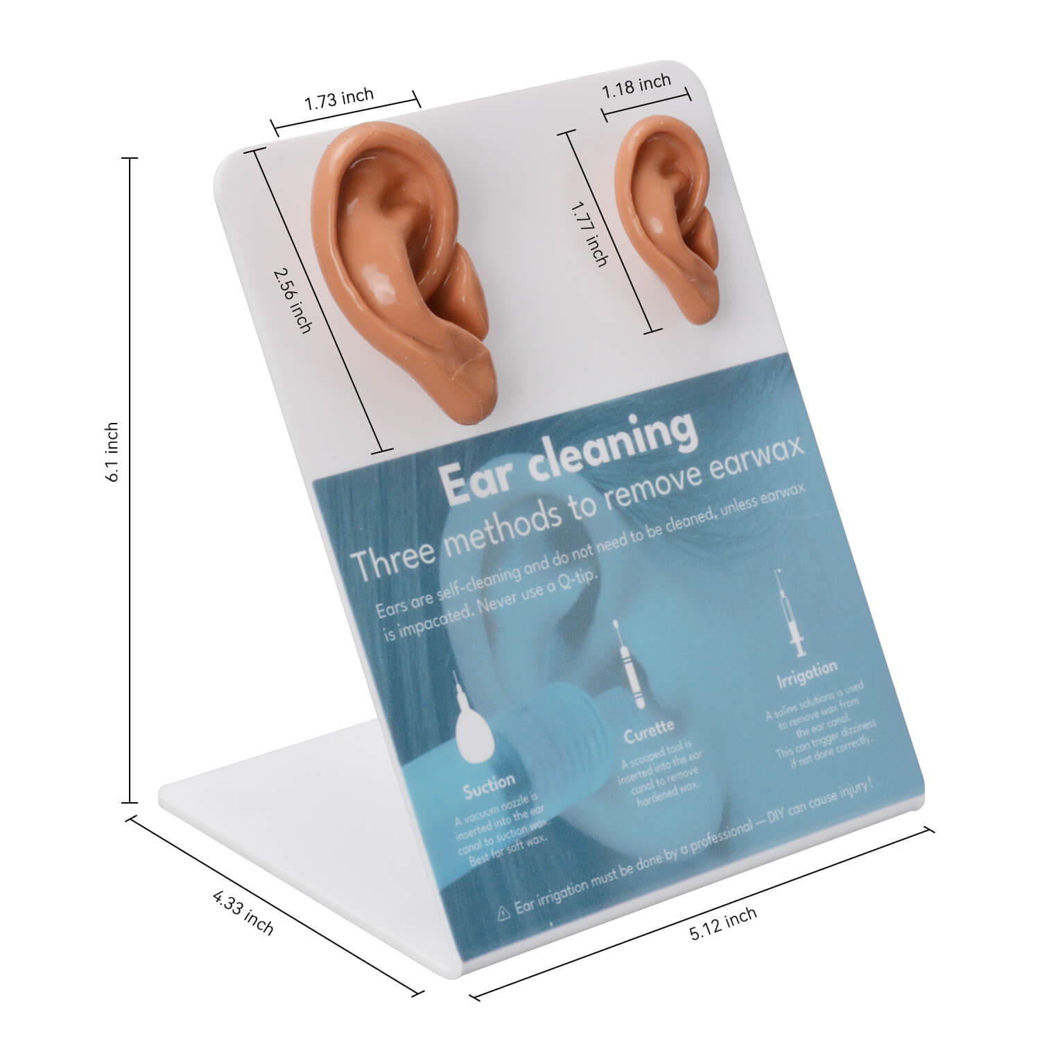 Ear Canal Training Model for Ear Irrigation & Cerumen Removal
