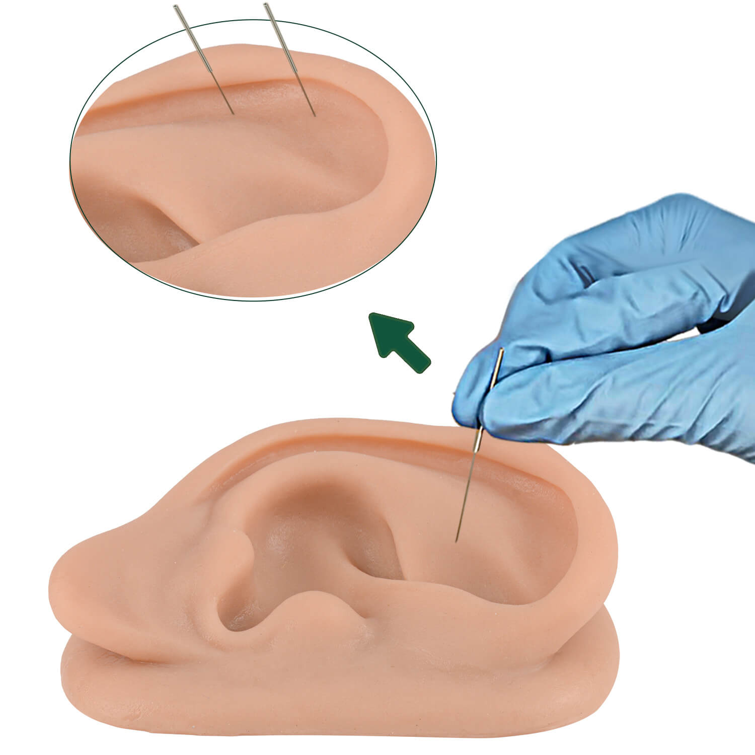 Silicone Ear Model for Realistic Acupuncture Training
