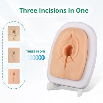 Ultrassist Episiotomy Suturing Trainer with Multiple Incisions
