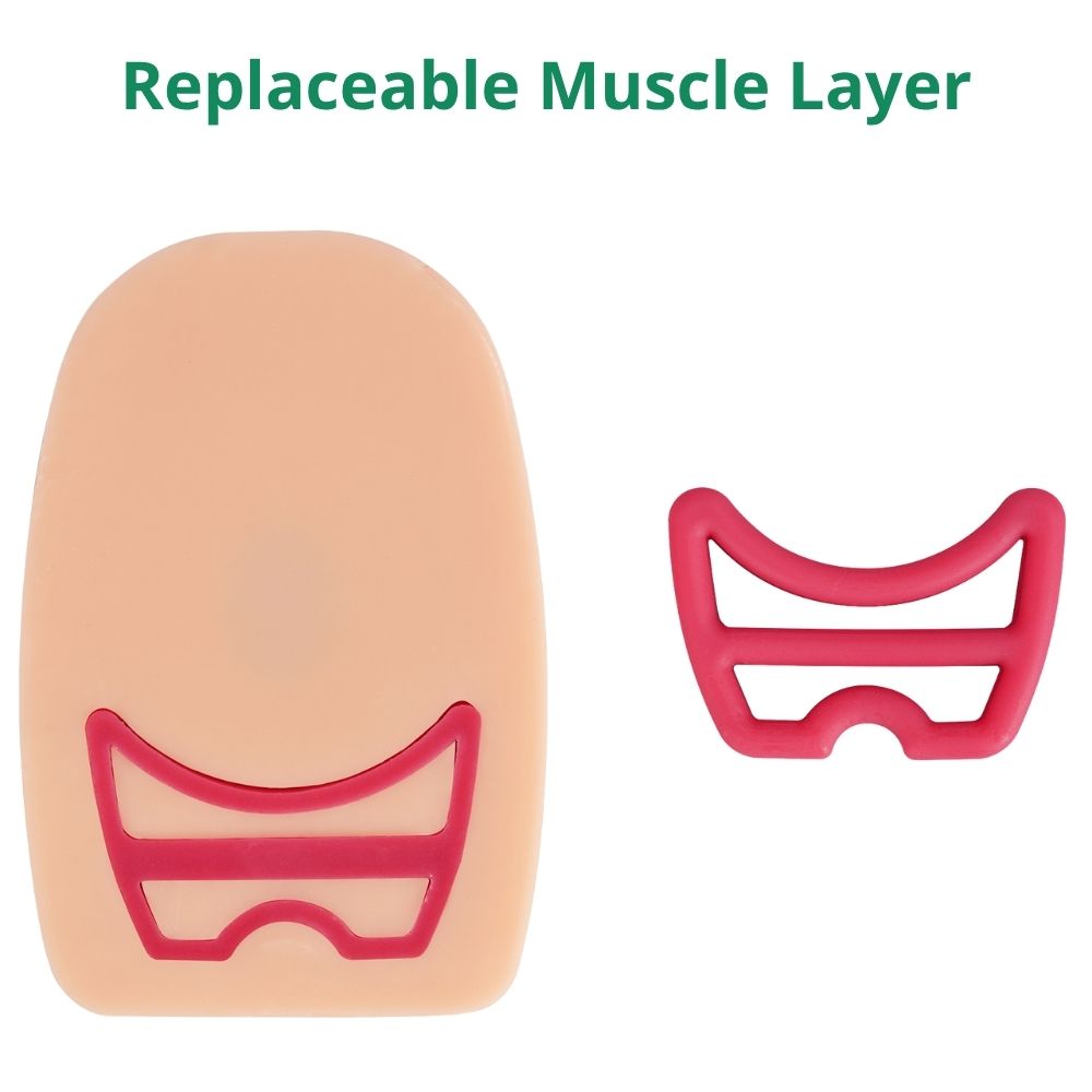 Ultrassist Episiotomy Suturing Trainer with Multiple Incisions