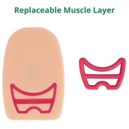 Ultrassist Episiotomy Suturing Trainer with Multiple Incisions