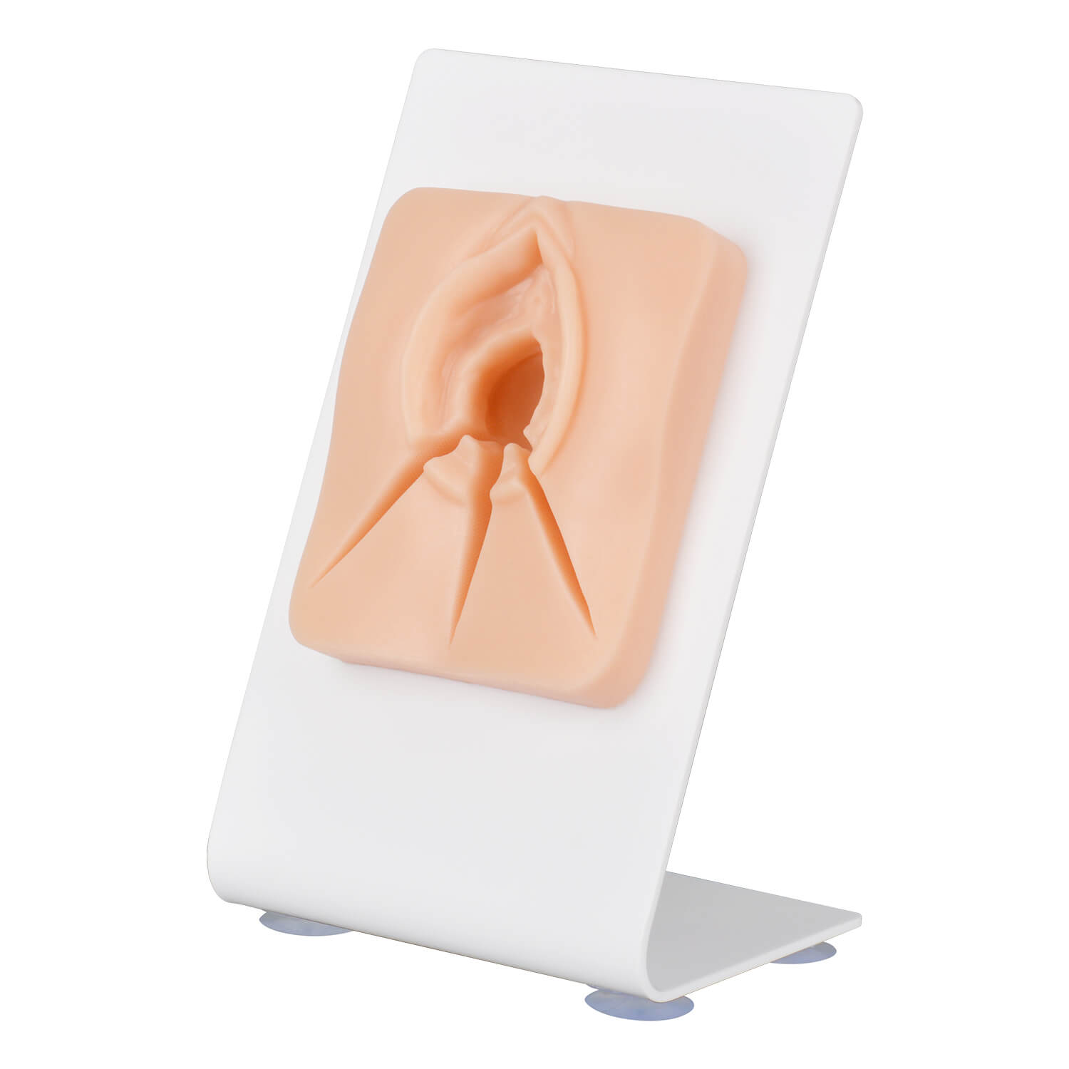 Ultrassist Vulvar Episiotomy Suturing Model