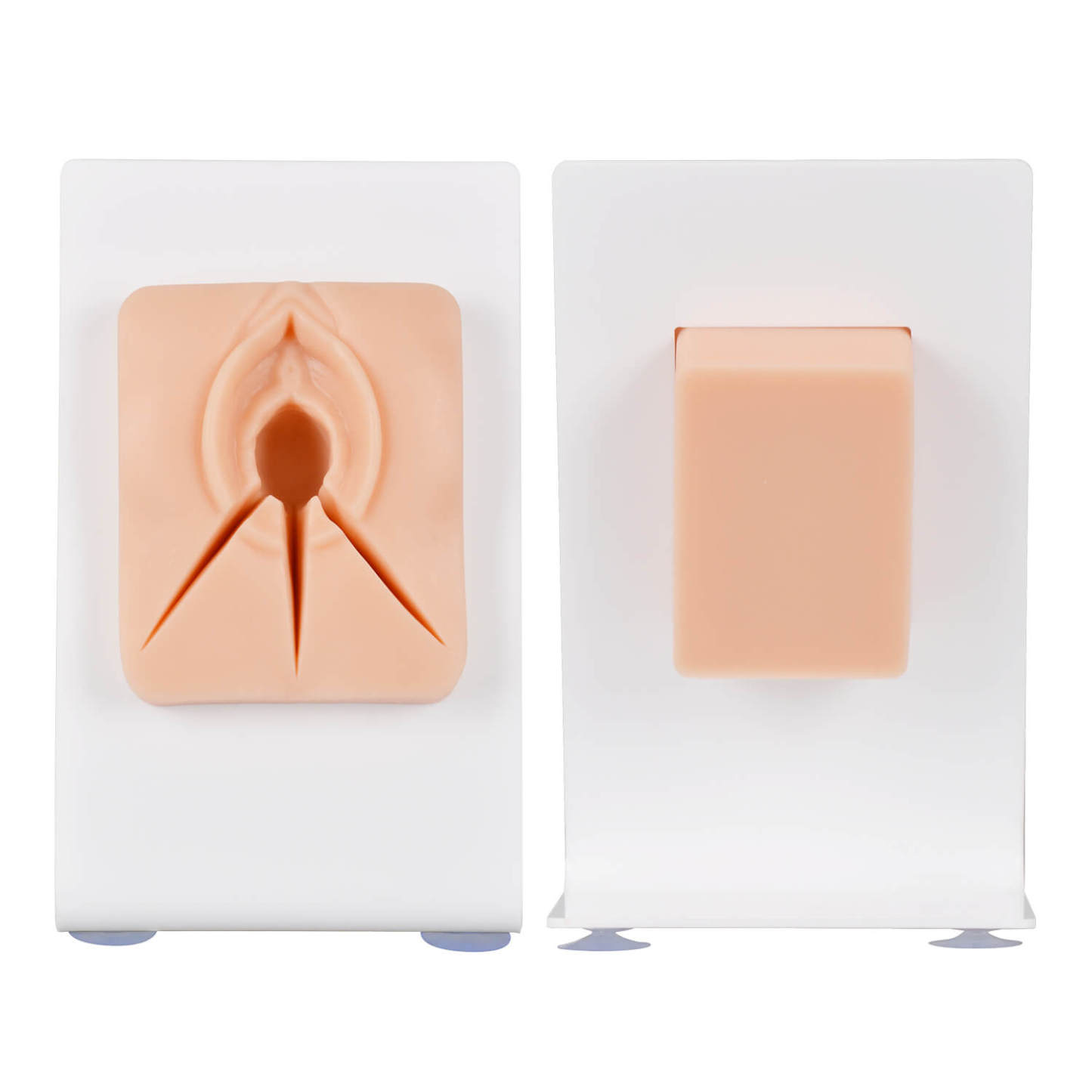 Ultrassist Vulvar Episiotomy Suturing Model