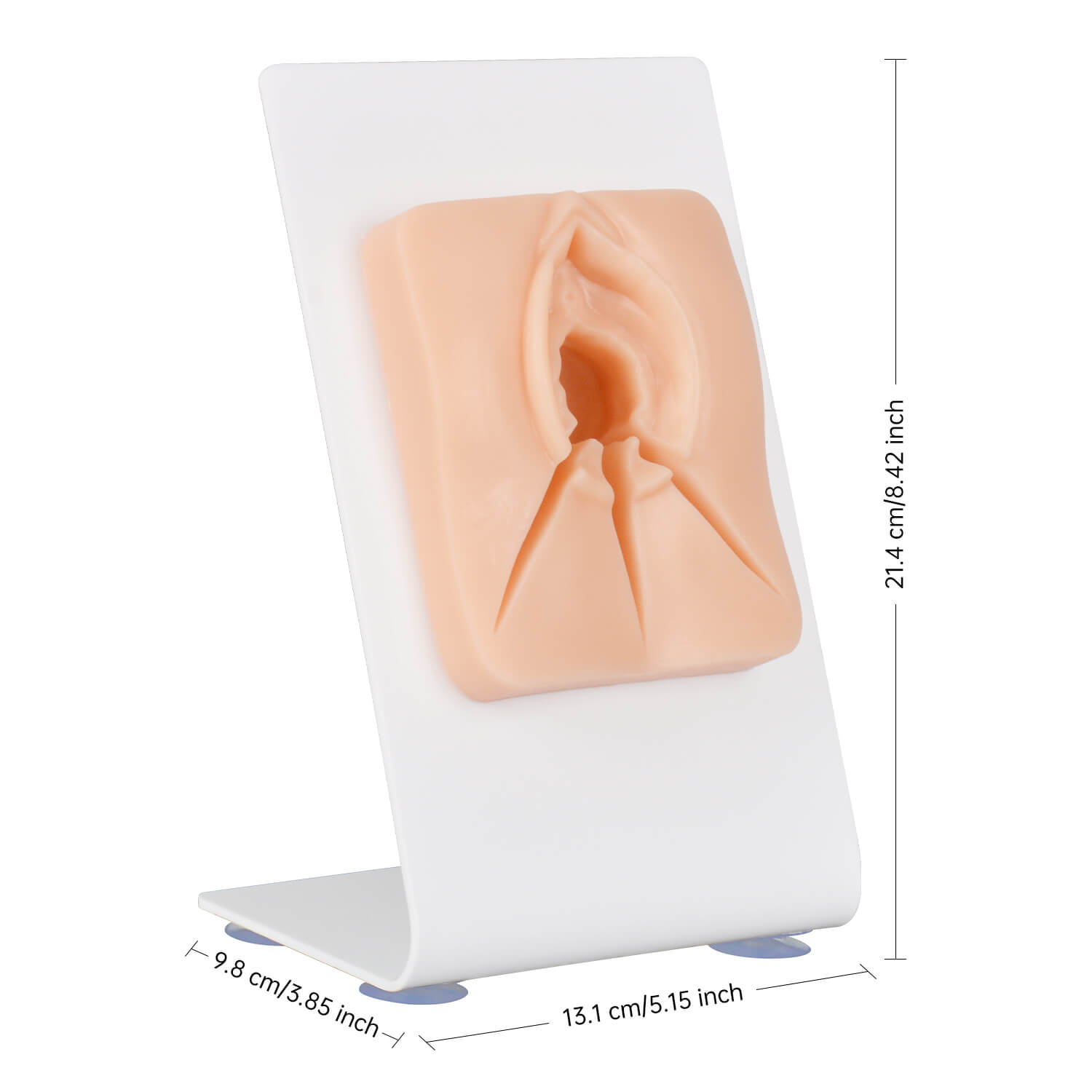 Ultrassist Vulvar Episiotomy Suturing Model