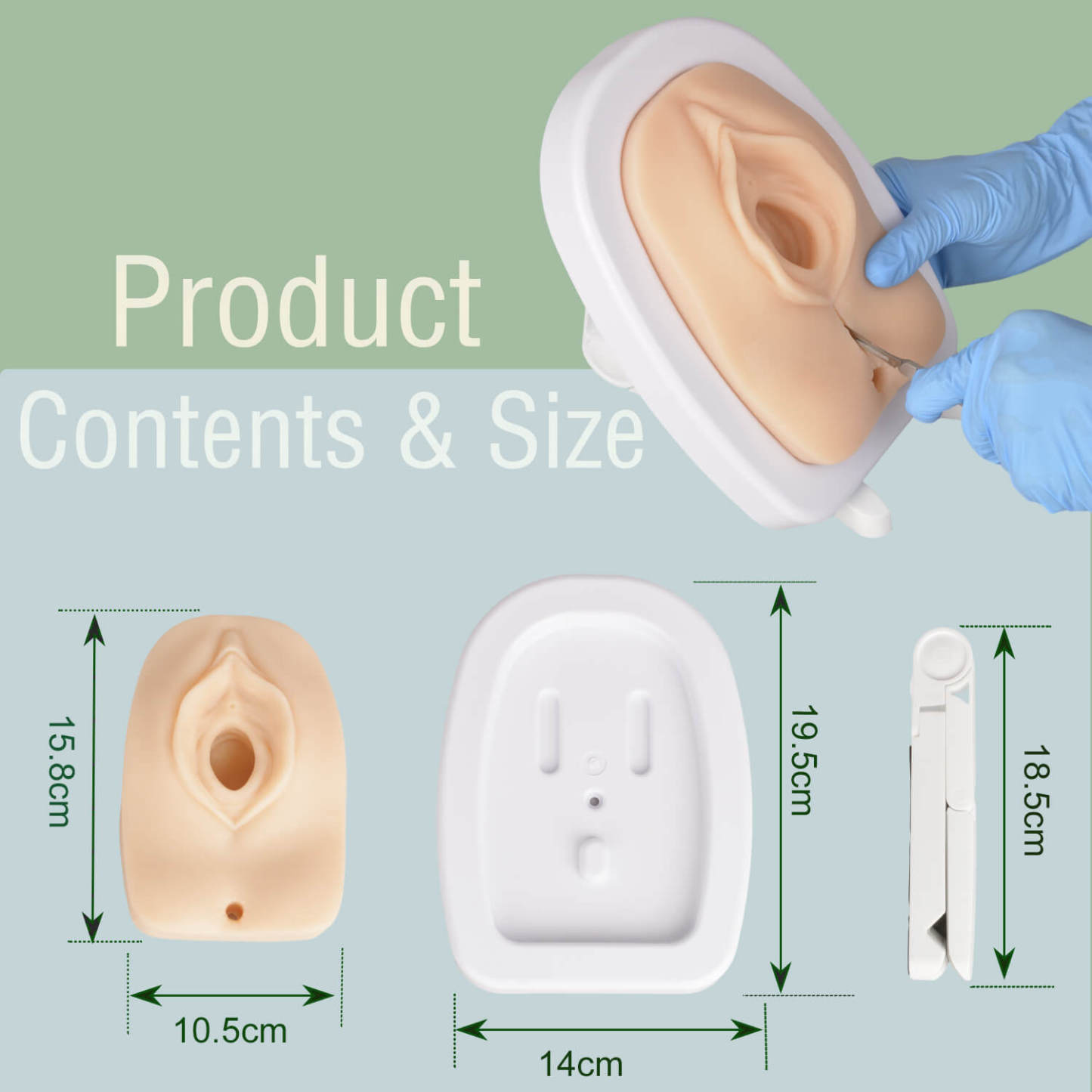 Ultrassist Episiotomy Suturing Simulator Product Size