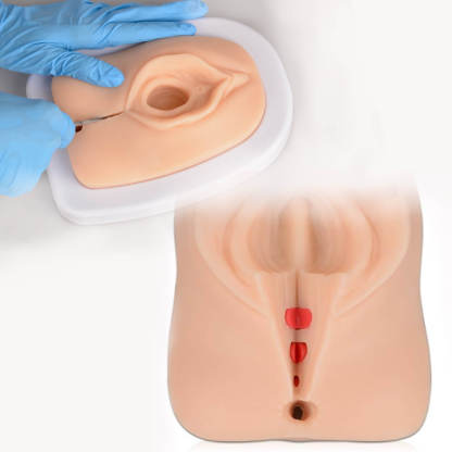  Obstetrics Episiotomy Simulator for Perineal Repair Training