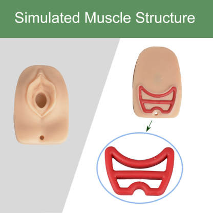 Episiotomy Suturing Simulator with Simulated Muscle Structure 