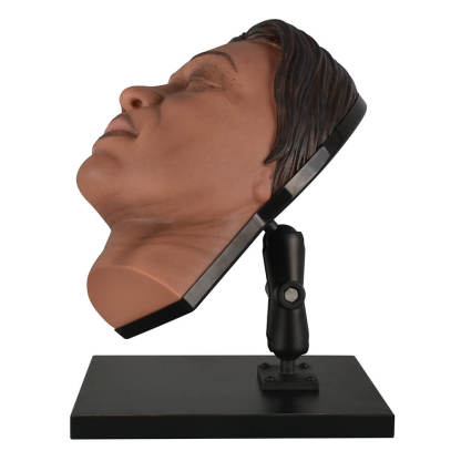 Facial Injection Training Mannequin Head with Dark Skin
