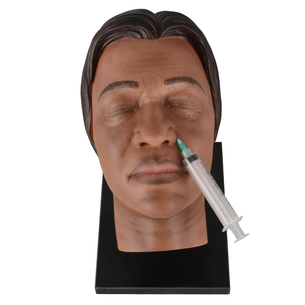 Facial Injection Training Mannequin Head with Dark Skin