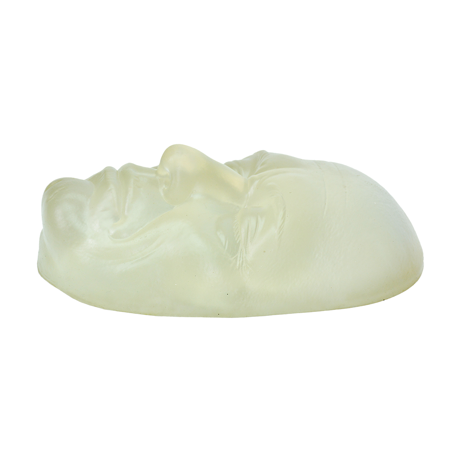 Facial Injection & Thread Lifting Training Transparent Mannequin Head