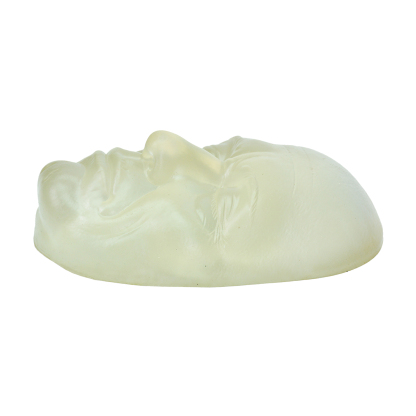 Facial Injection & Thread Lifting Training Transparent Mannequin Head