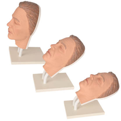 Facial Injection Training Head with Masculine Features