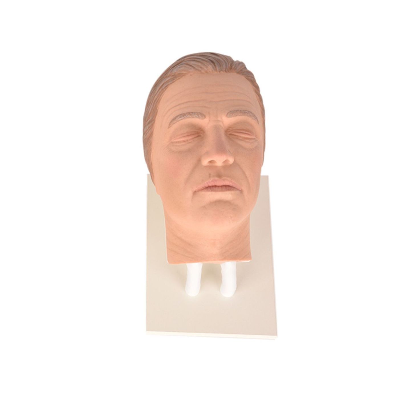 Facial Injection Training Head with Masculine Features