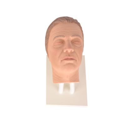 Facial Injection Training Head with Masculine Features