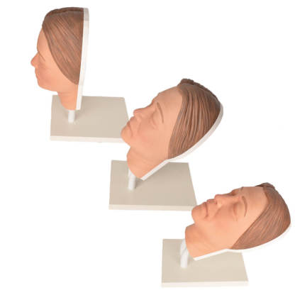Female Facial Injection Mannequin for Aesthetic Training