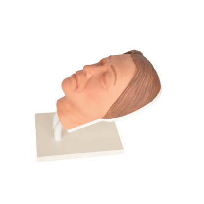 Female Facial Injection Mannequin for Aesthetic Training