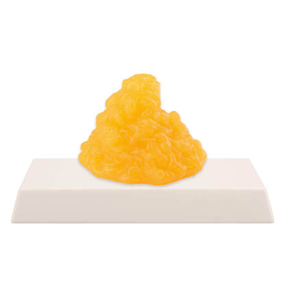 Ultrassist Authentic Fat Replica 1lb with Display Base