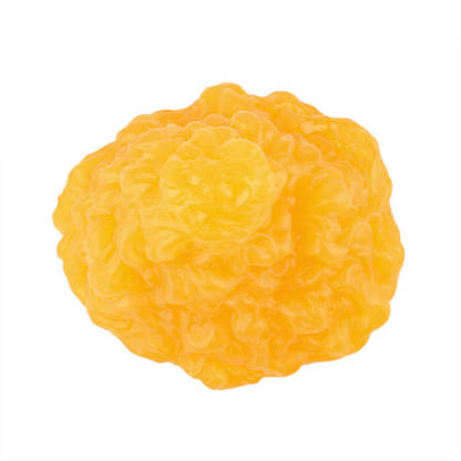 Authentic Fat Replica 1lb Made of Safe Material