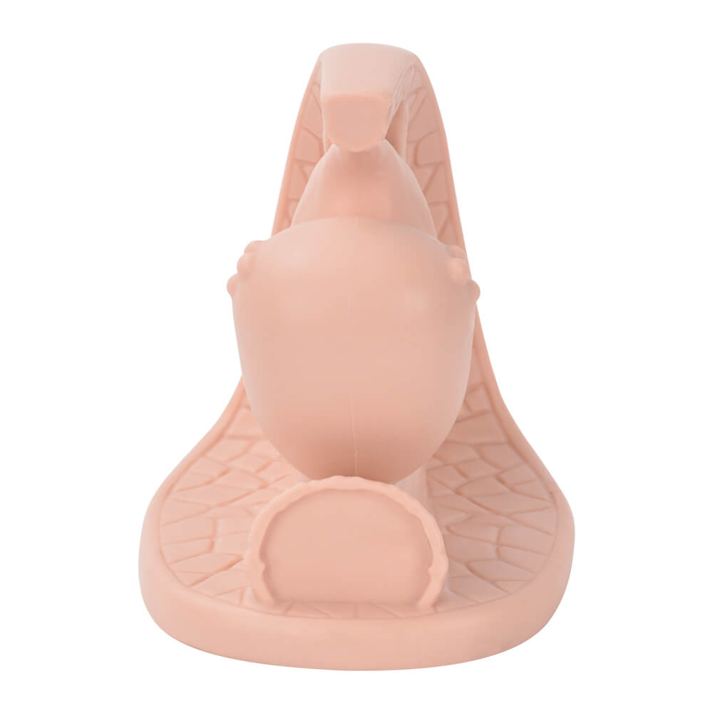 Female Contraceptive Training Model for Barrier Method Practice