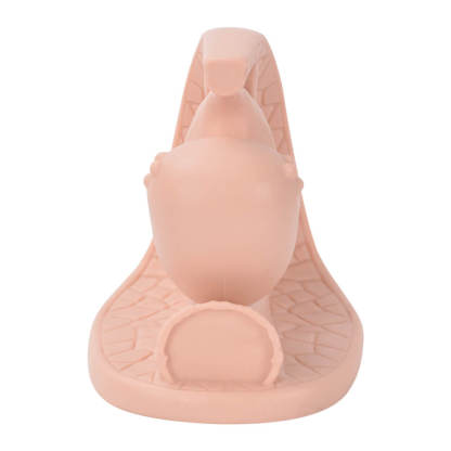 Female Contraceptive Training Model for Barrier Method Practice