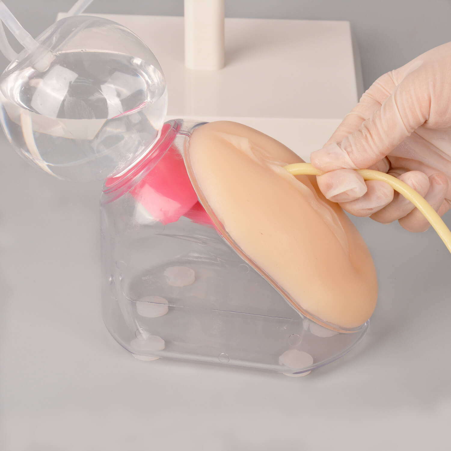 Ultrassist Female Urinary Catheterization Trainer Kit