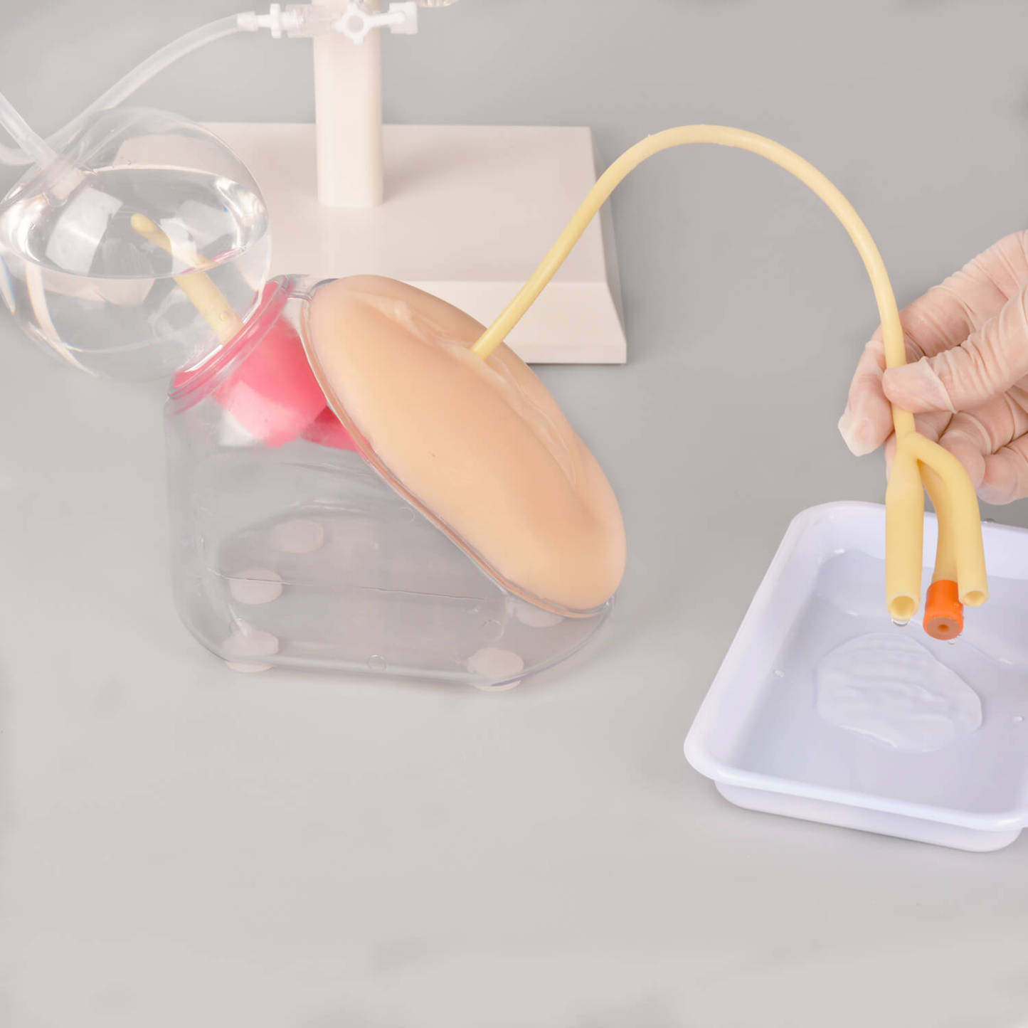 Ultrassist Female Urinary Catheterization Trainer Kit