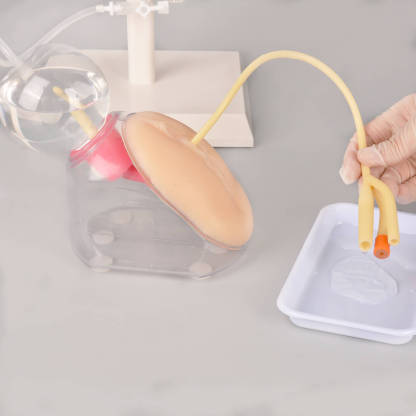 Ultrassist Female Urinary Catheterization Trainer Kit