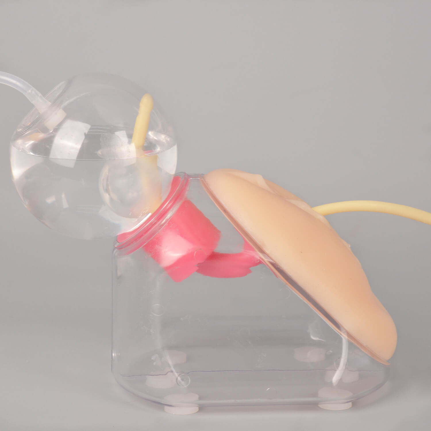 Ultrassist Female Urinary Catheterization Trainer Kit